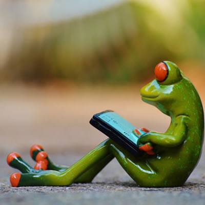 这里填写相关的产品名称