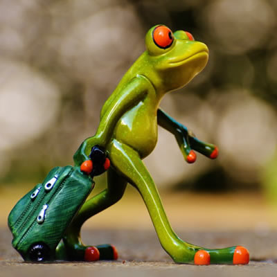 Fill in the relevant product name here