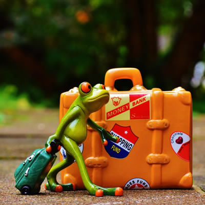 Fill in the relevant product name here