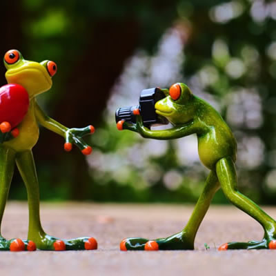 Fill in the relevant product name here