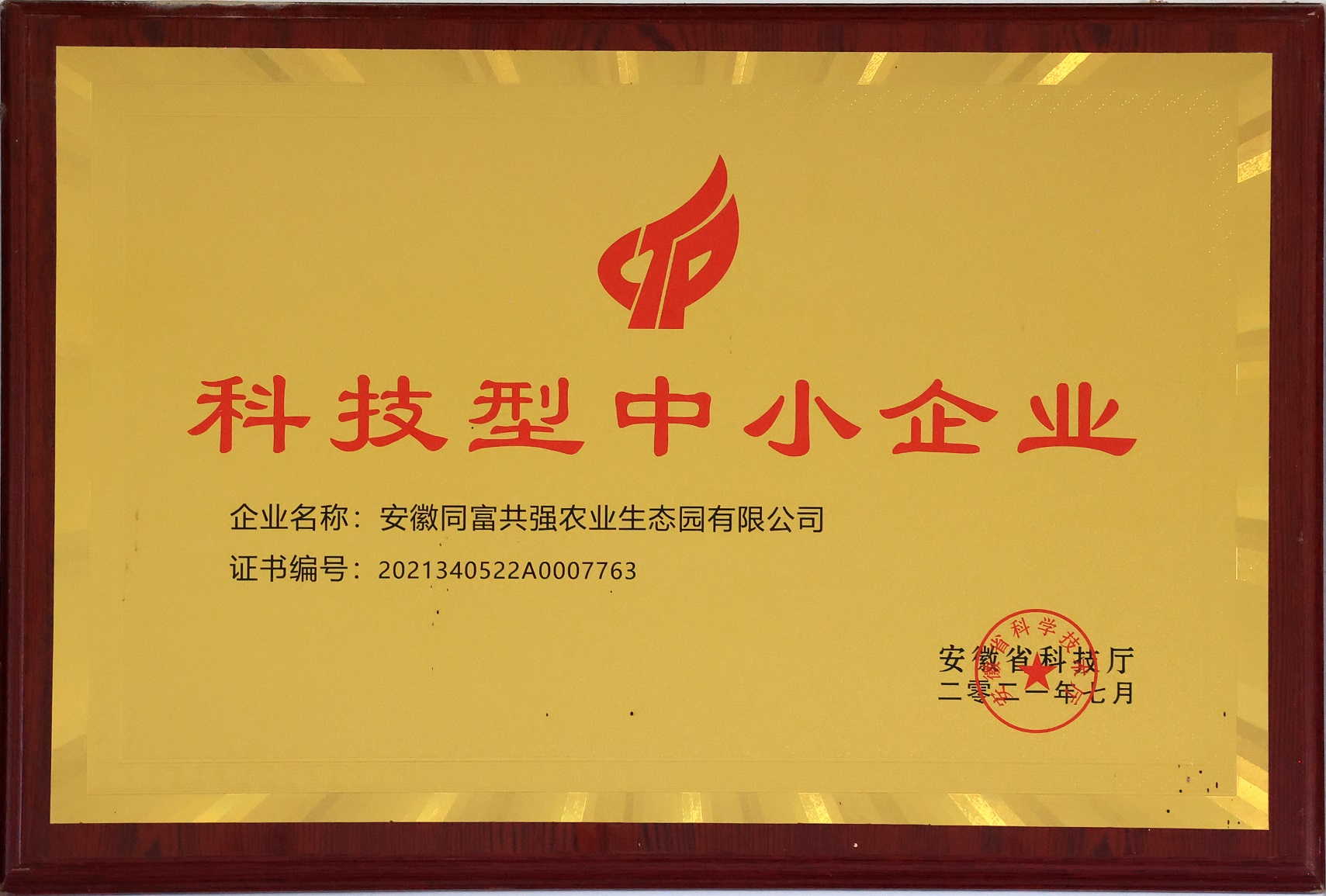 国家科技型中小企业