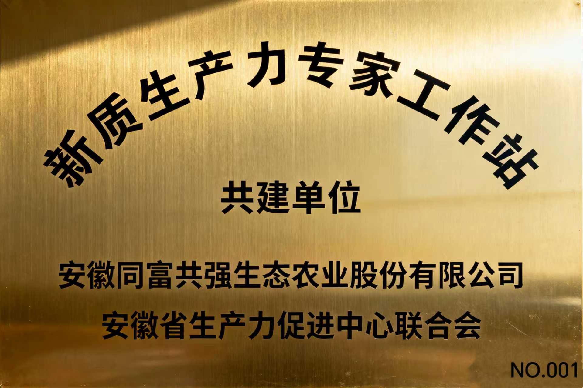 安徽省新质生产力专家工作站