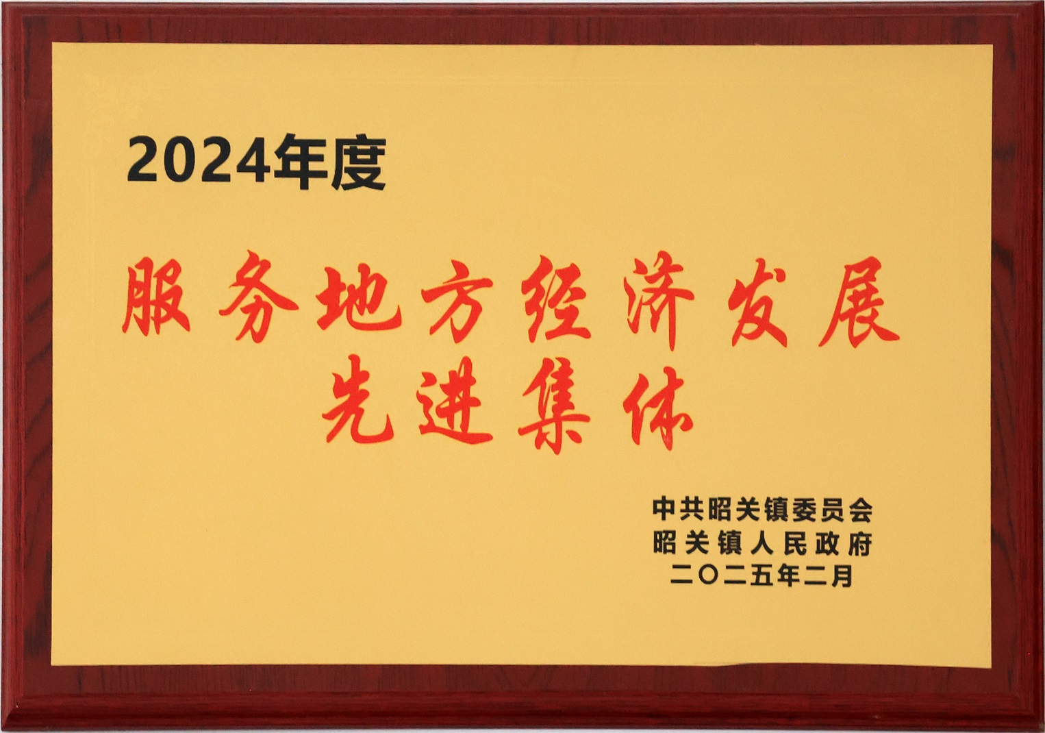 服务地方经济发展先进集体