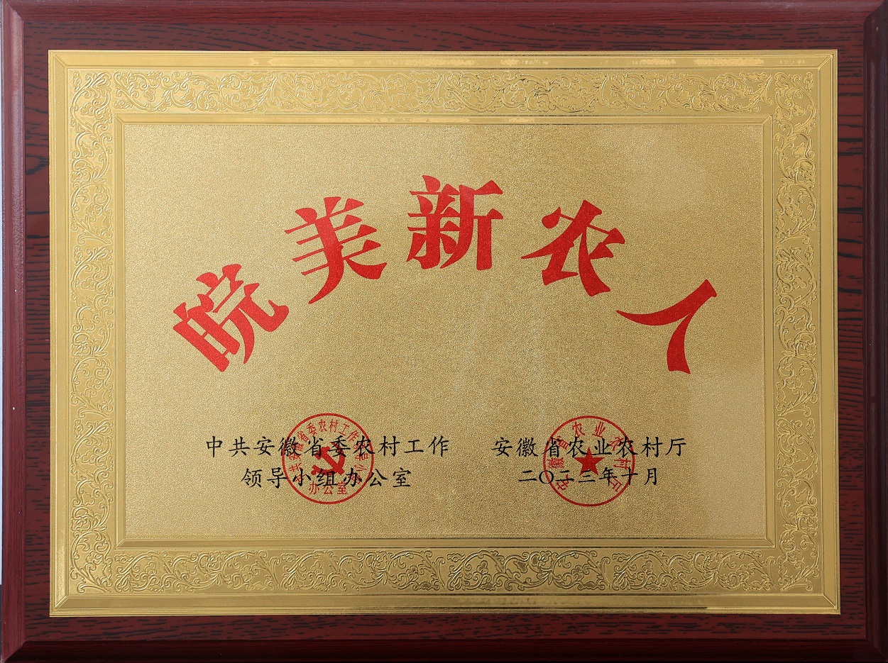 皖美新农人