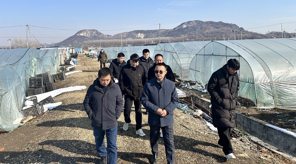 【同富共强】：深化供应链协同 共探发展新路径